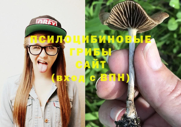 спайс Алексин