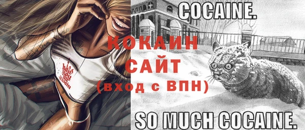 спайс Алексин