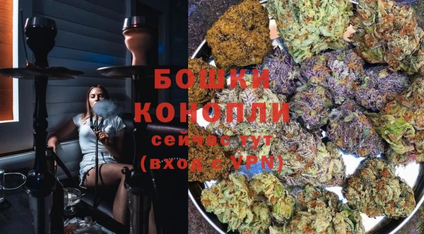 спайс Алексин