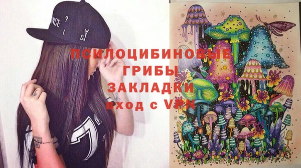 дурь Алзамай