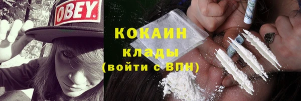 спайс Алексин